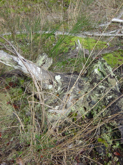 DSC03889